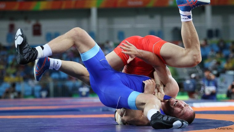 Вольная борьба