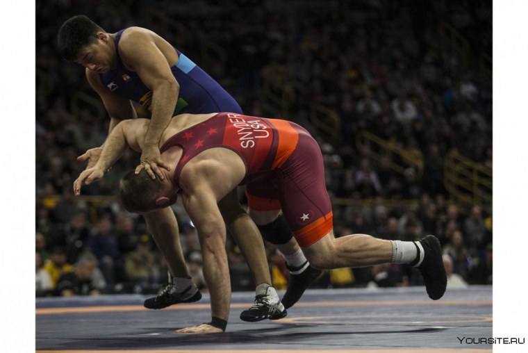 Вольная борьба