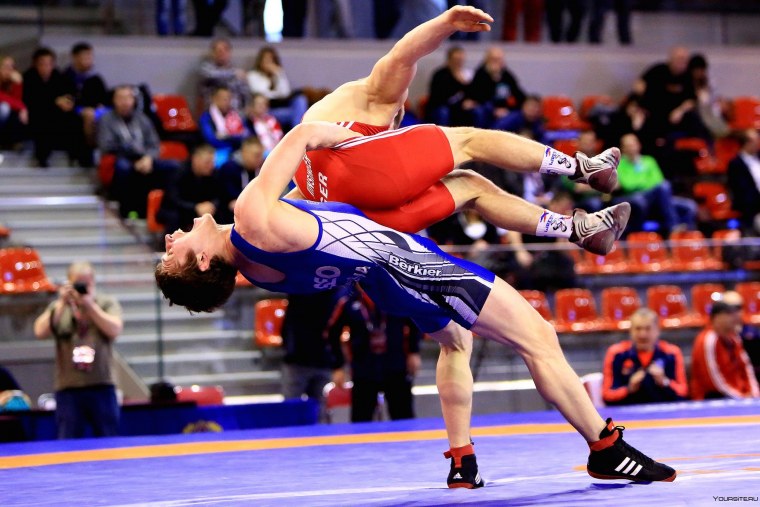 Реслинг вид спорта