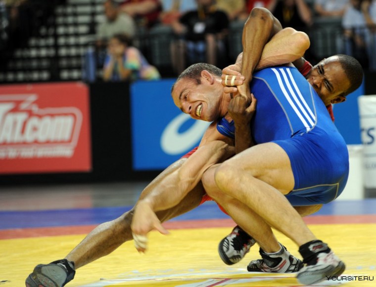 Российские борцы