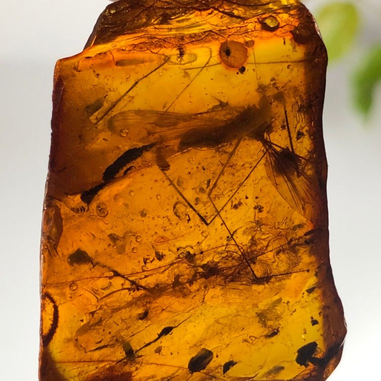 Янтарь камень Эстетика