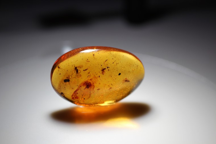 Камень талисман янтарь