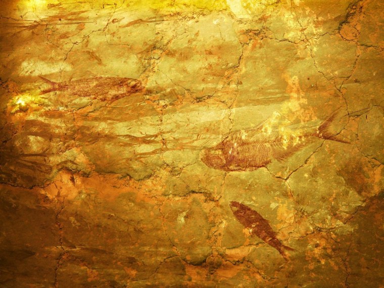 Обои на рабочий стол янтарь