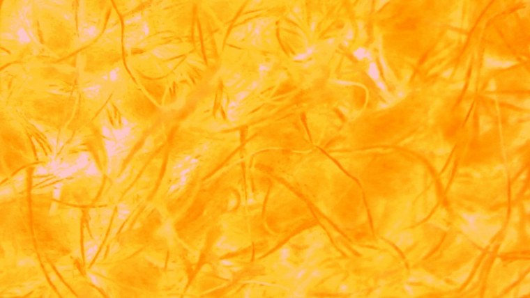 Красивый янтарь