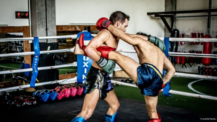 Белый Монгкон Муай Тай