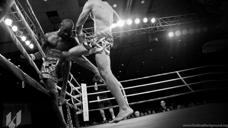 Бойцы кикбоксинга