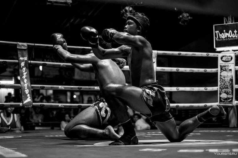 Бокс Геннадий Головкин