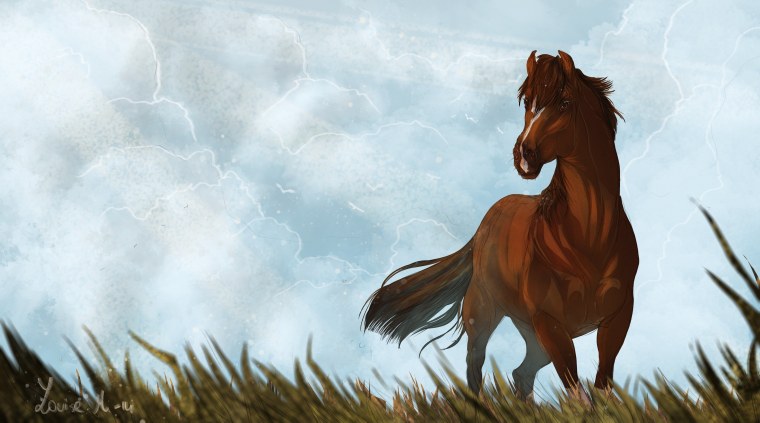 Герои мультика спирит