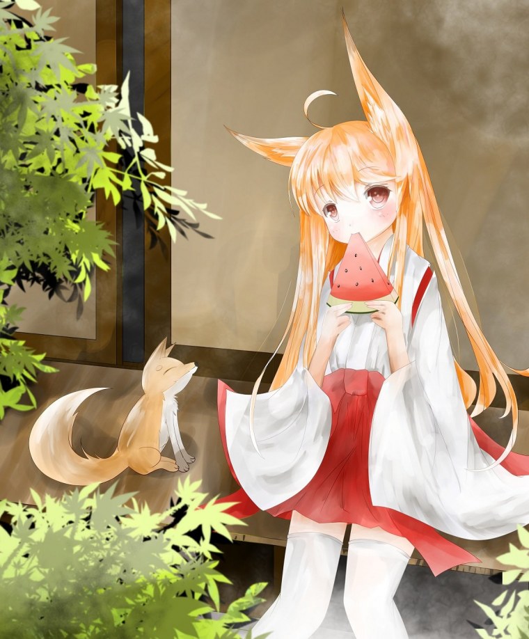 Сузука Гозен Fate лиса