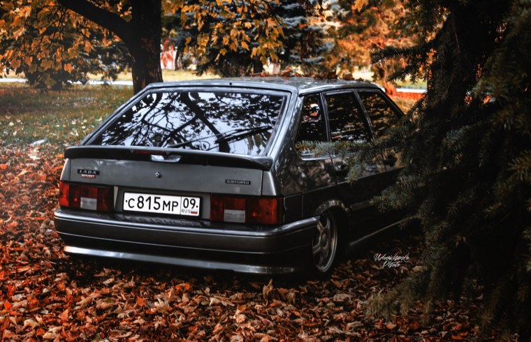 ВАЗ 2114 статика