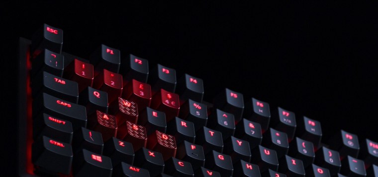 Курица обои