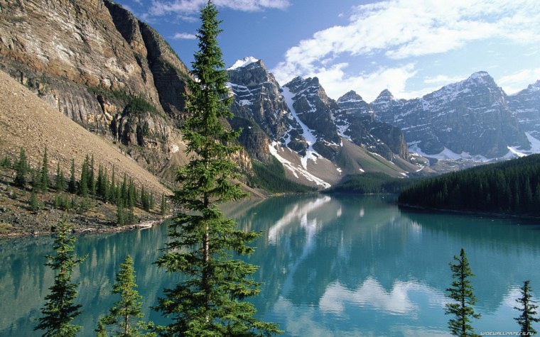 Лес вода джунгли деревья водопад
