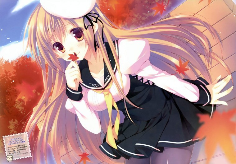 Анимешница арт