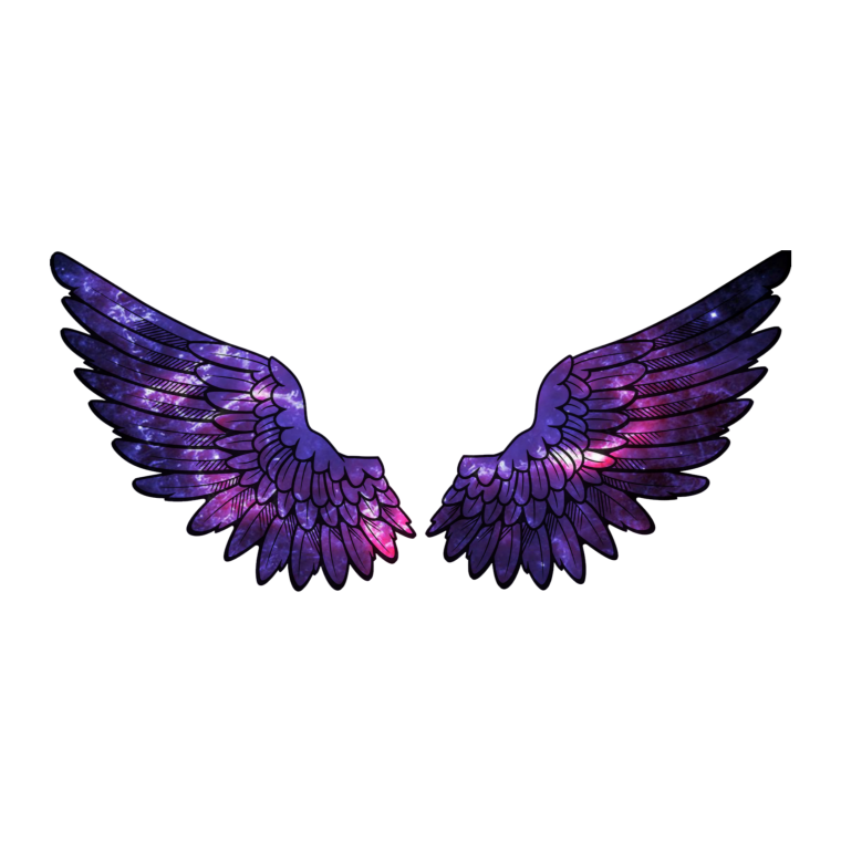 Крылышки без фона