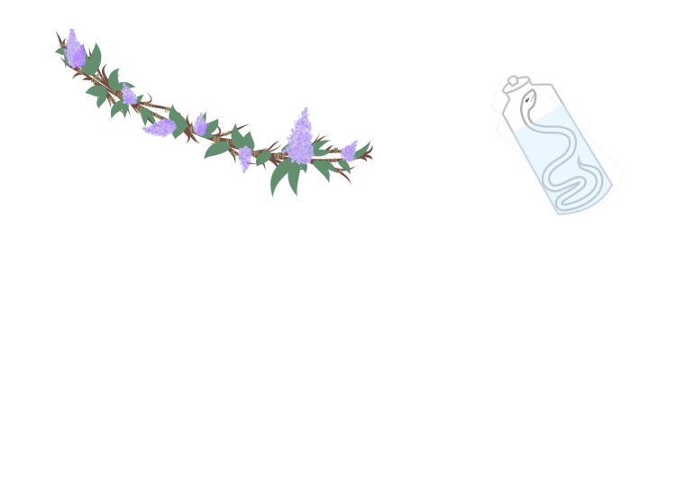 Скины для гача лайф 2021