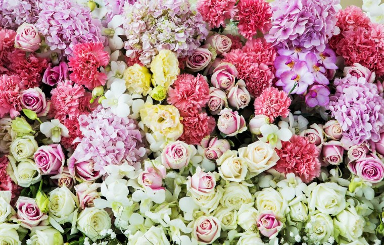 Красный цветок размытый