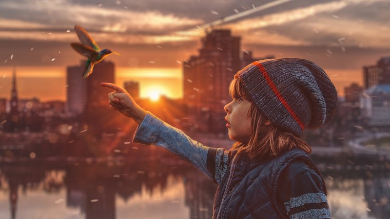 Птица на фоне города