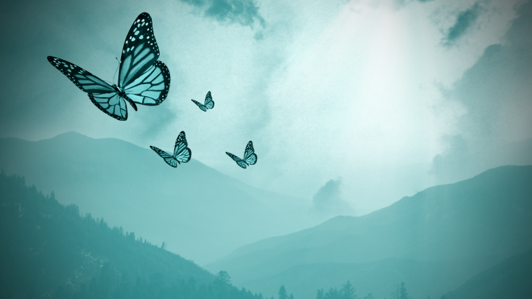 Красивые обои мечта