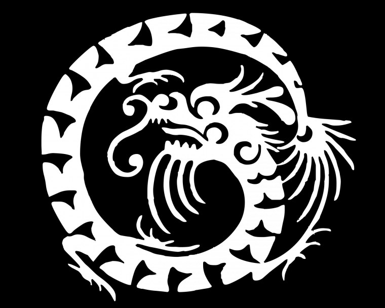 Дракон черно белый