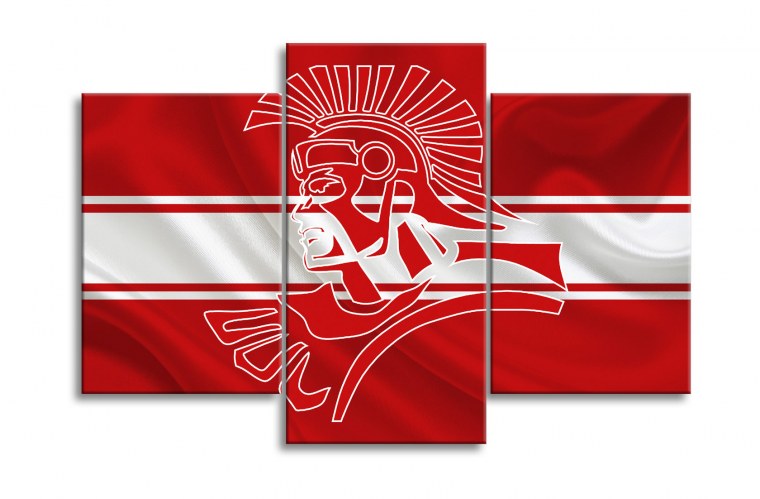 Модульная картина Спартак