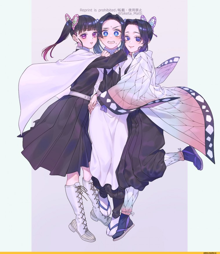 Аниме клинок рассекающий демонов Аой Канзаки