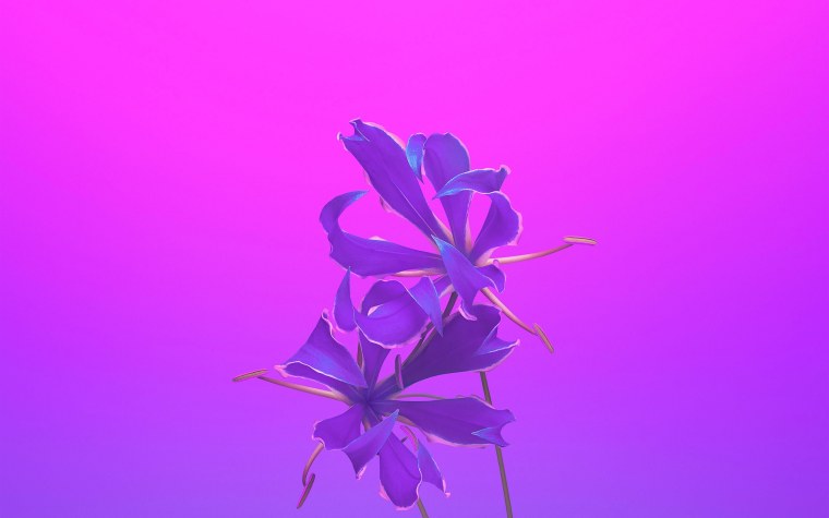 Фиолетовый фон Минимализм