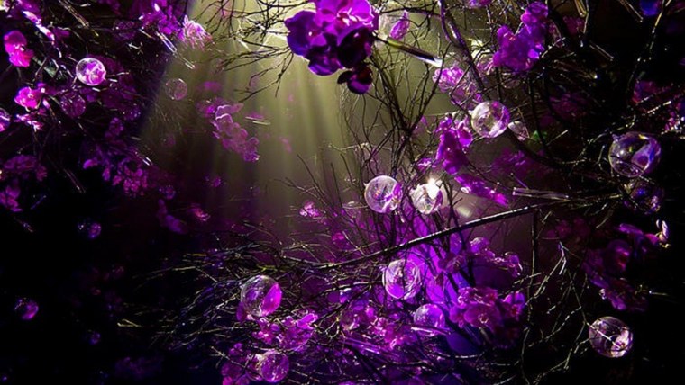 Фиолетовые обои на телефон