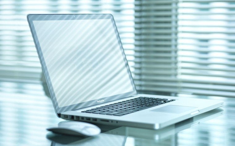 Рыжий кот за компьютером