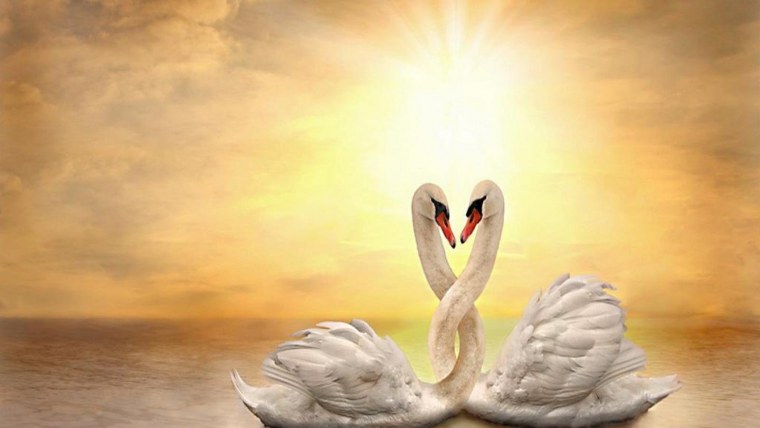 Мазки краски