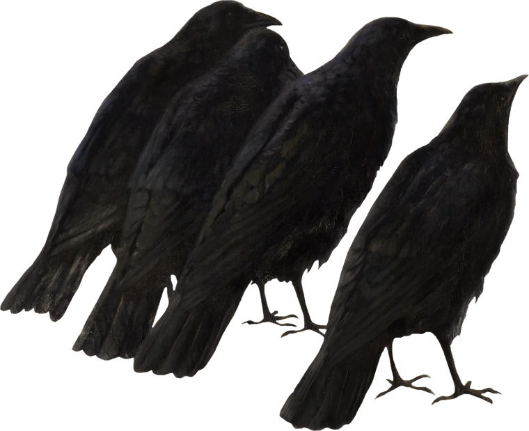 Силуэт Грача