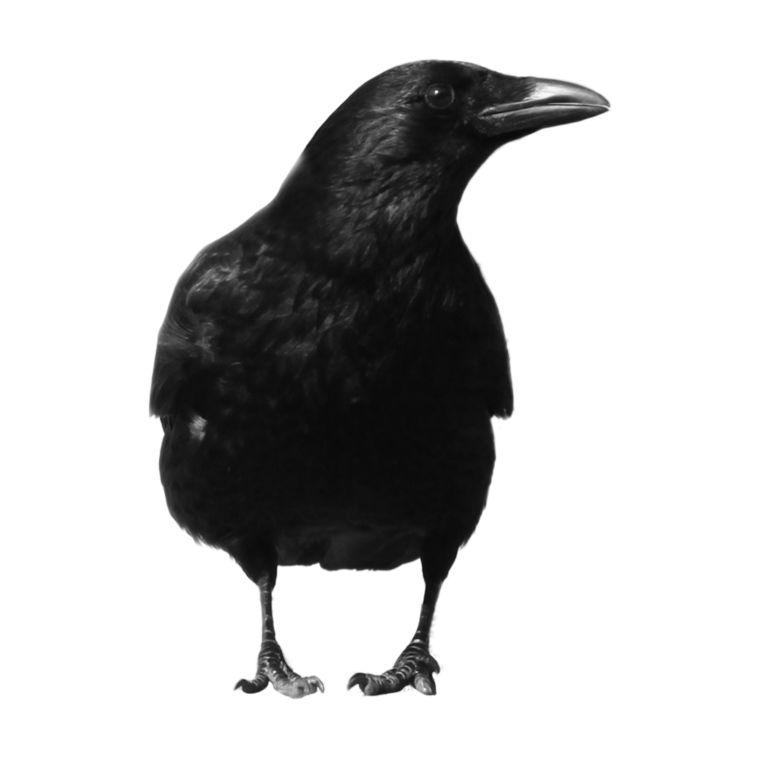 Силуэт Грача