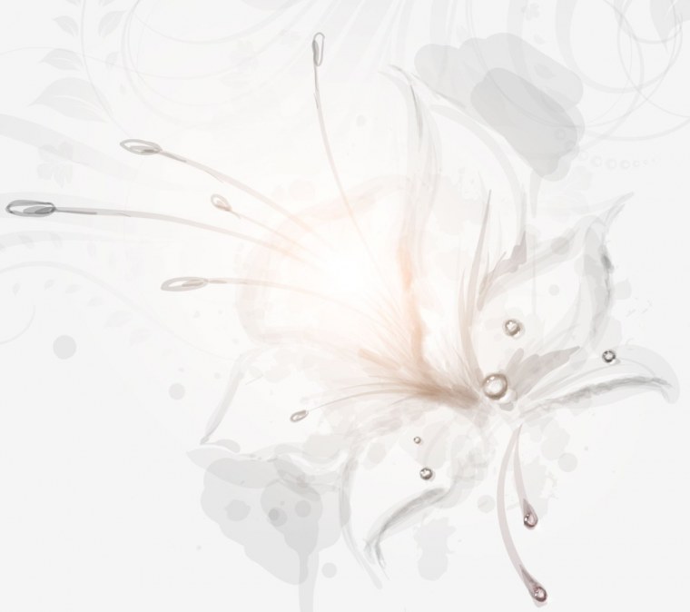 Светлые обои на телефон