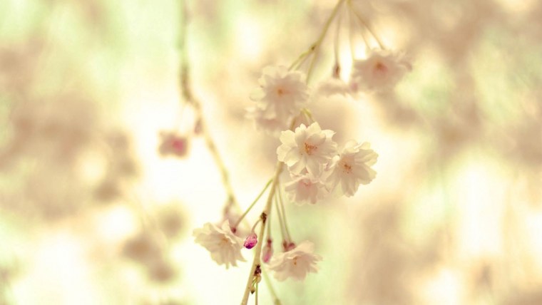 Нежно голубой цвет