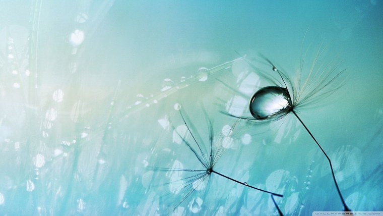 Обои на планшет светлые