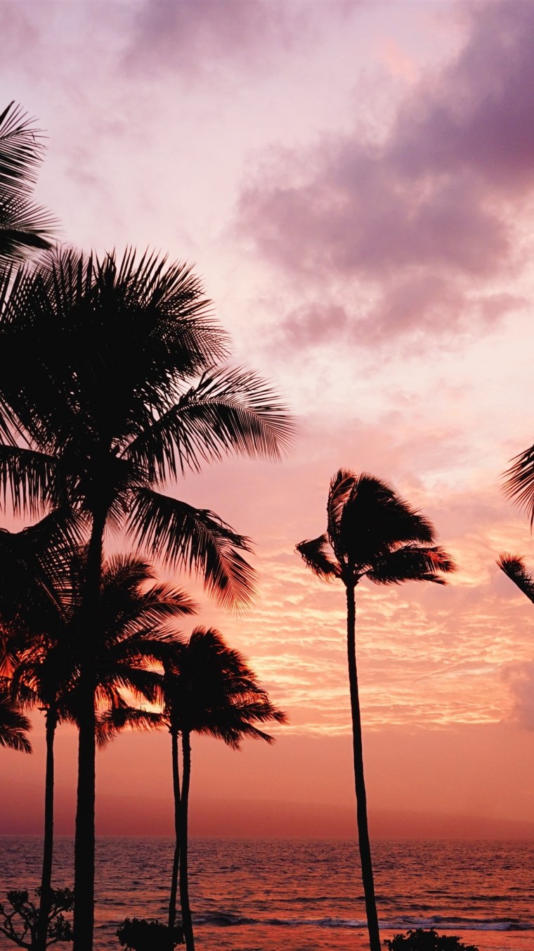 Пляж с пальмами сверху