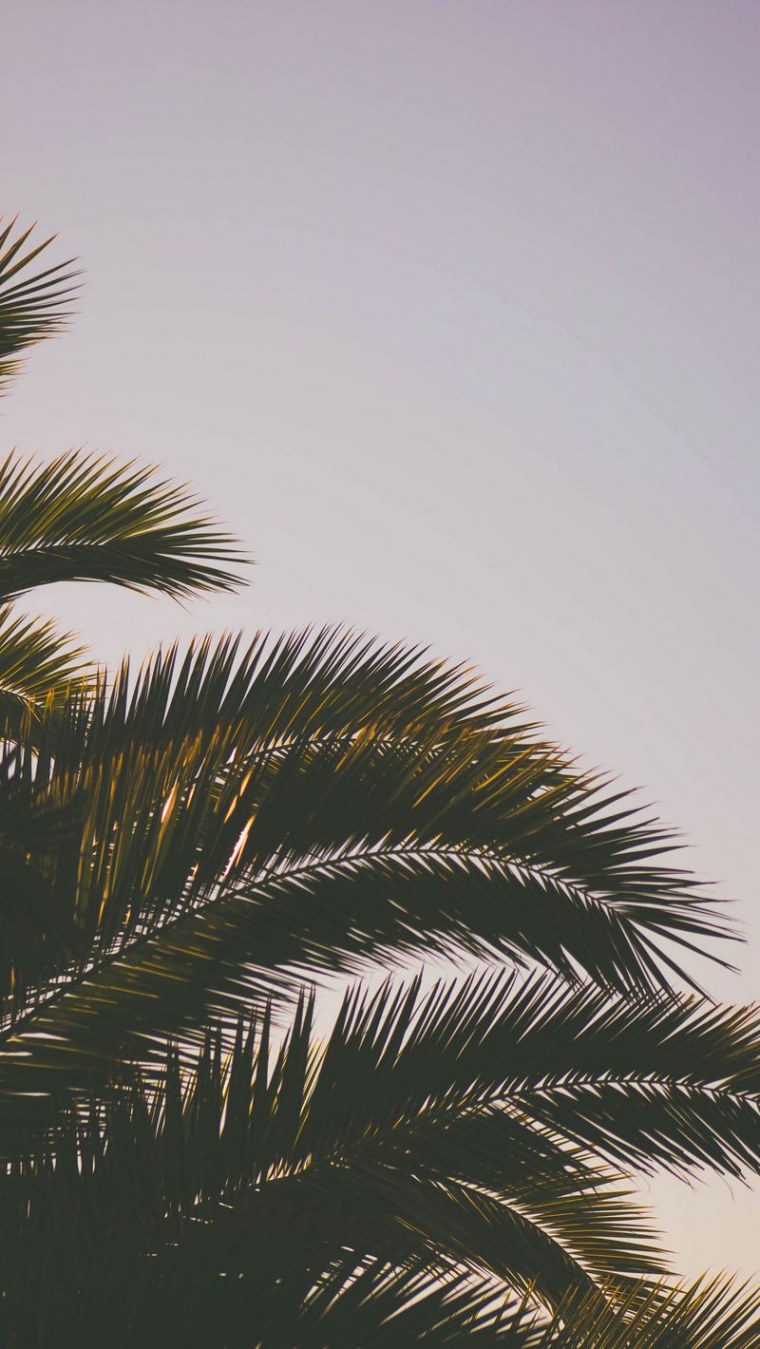 Тропические листья