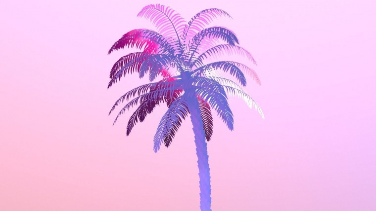 Пальмы длинная картинка