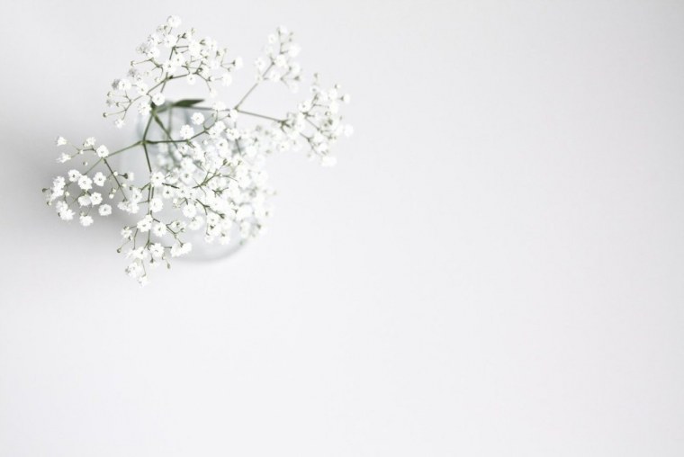 Гипсофила Эстетика