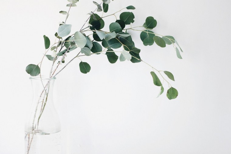 Lea Adje / Марина