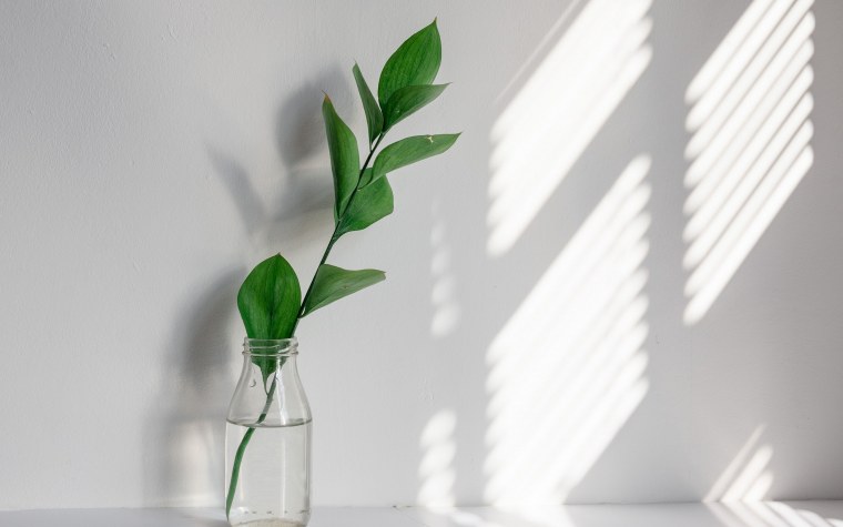 Зимние цветы