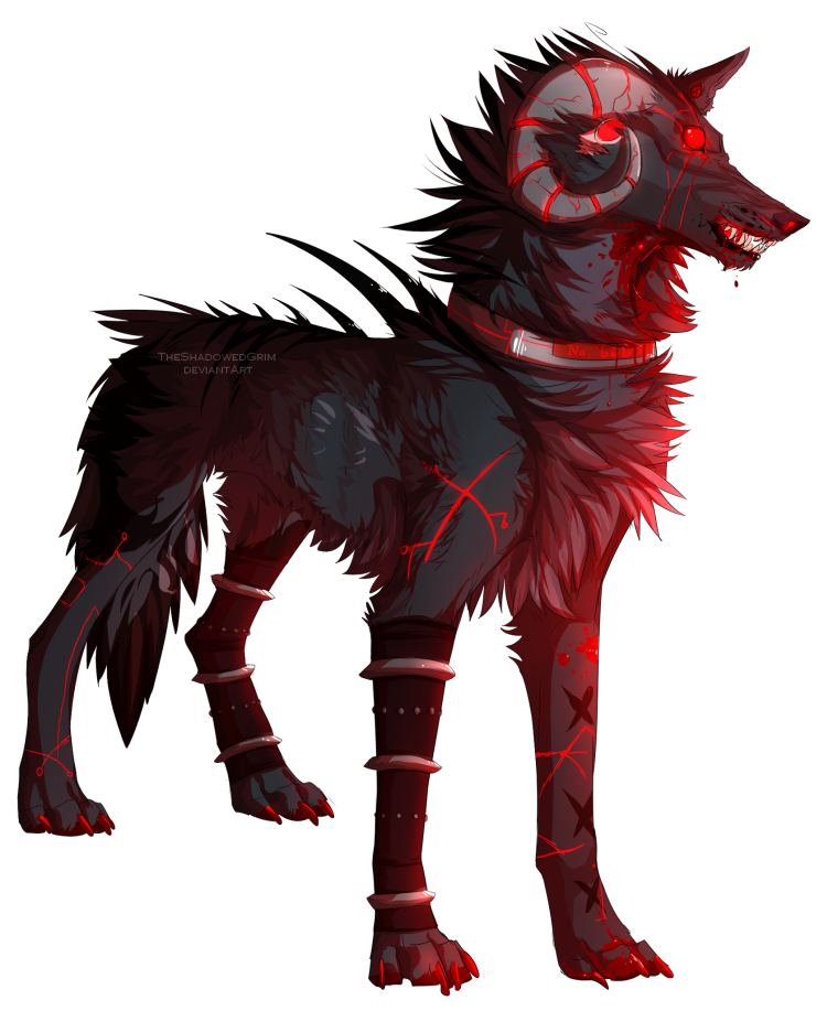 Блэк Вольф аниме