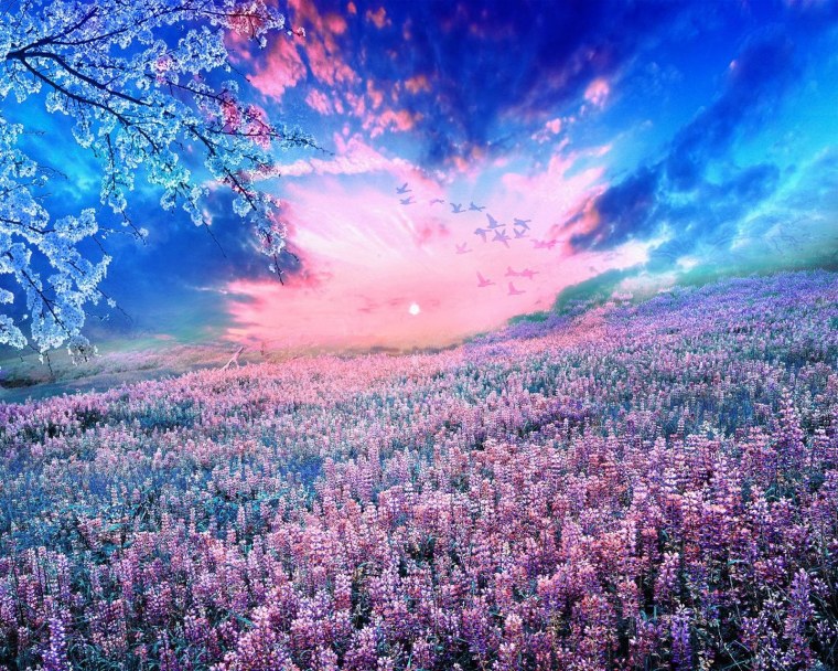 Эстетика фиолетового