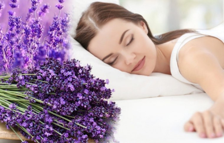 Лавандовый Иван чай