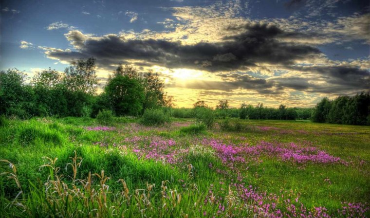 Природа успокаивает