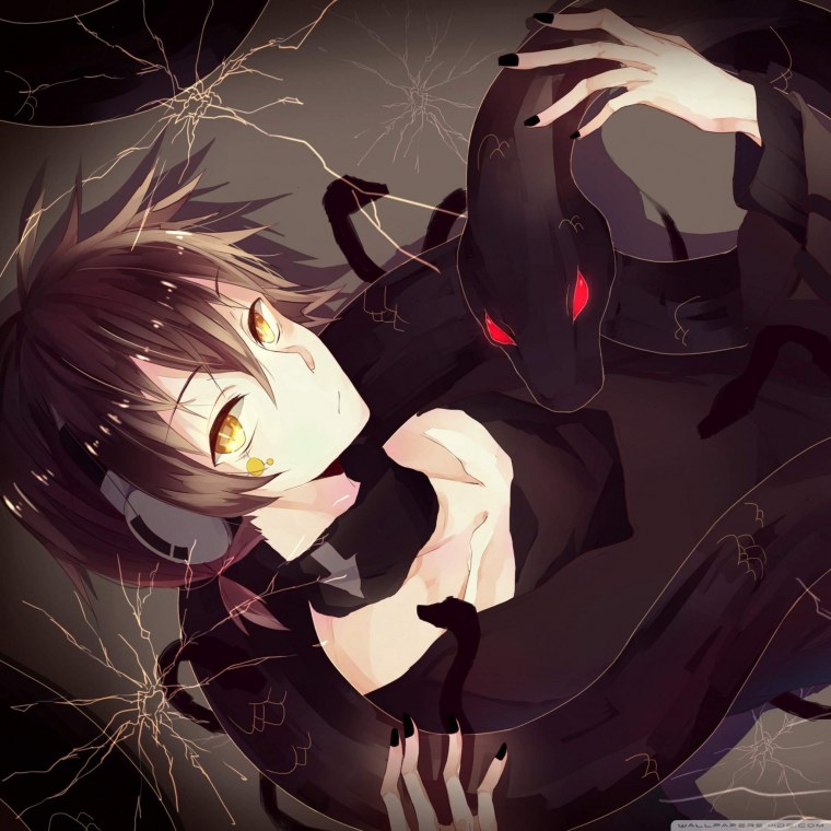 Шинтаро Кисараги дарк