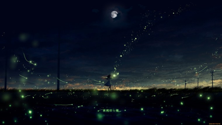 Сказочная ночь