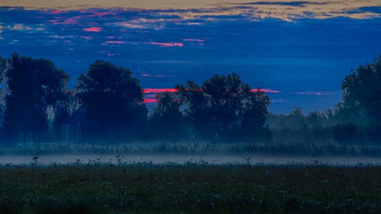 Ночное поле