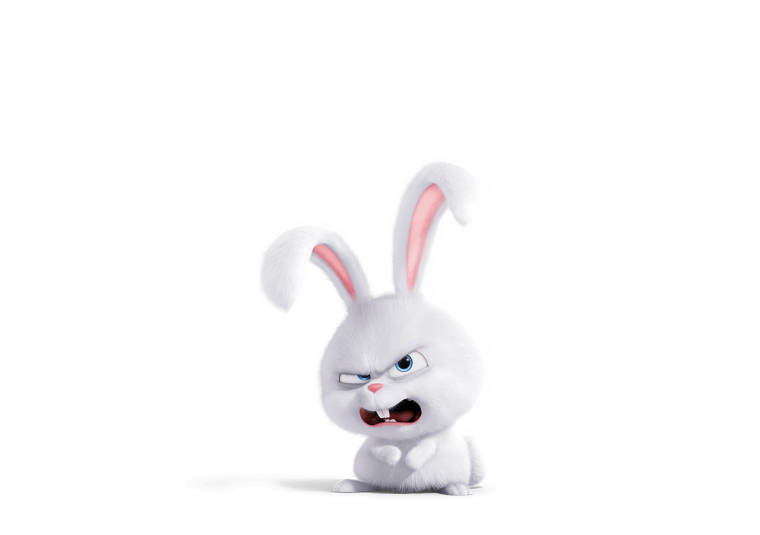 Капитан снежок Тайная жизнь домашних животных