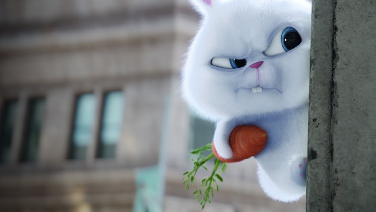 Заяц из мультфильма