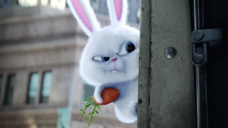 Кролик снежок Тайная жизнь домашних 2